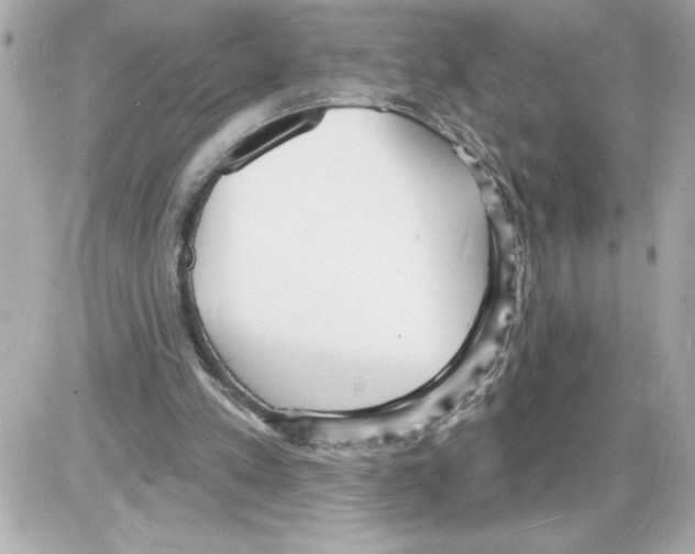 X0000085280197200704092215