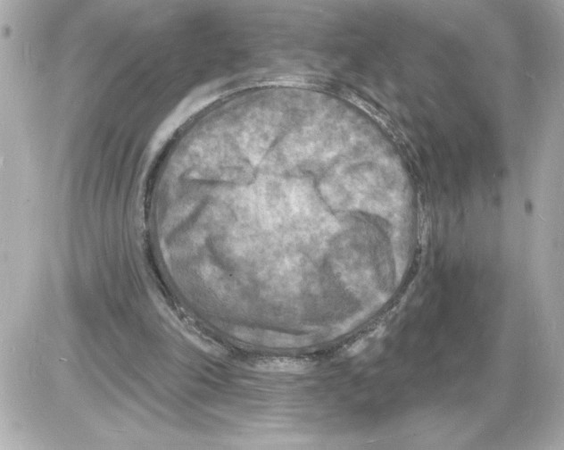 X0000085280198200704092215