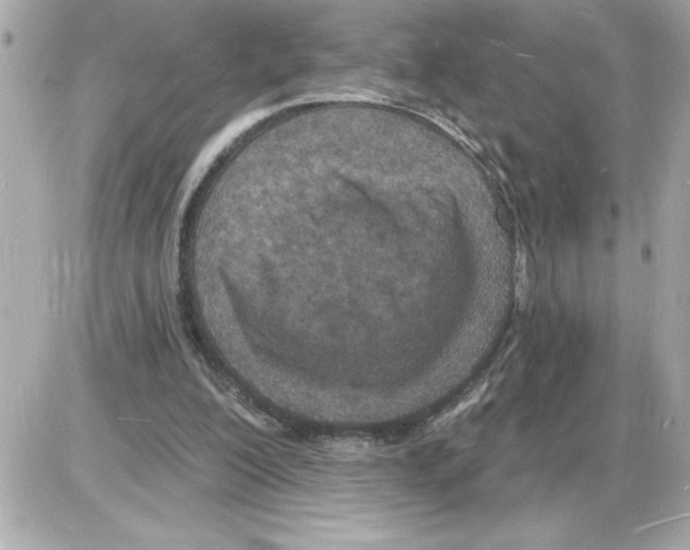 X0000085280200200704092215