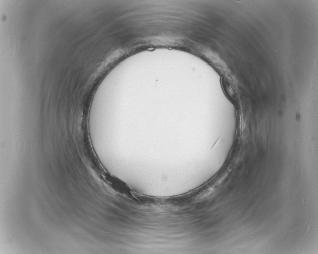 X0000085280201200704092215