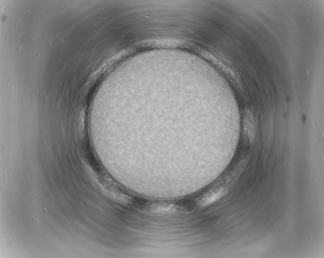 X0000085280206200704092215