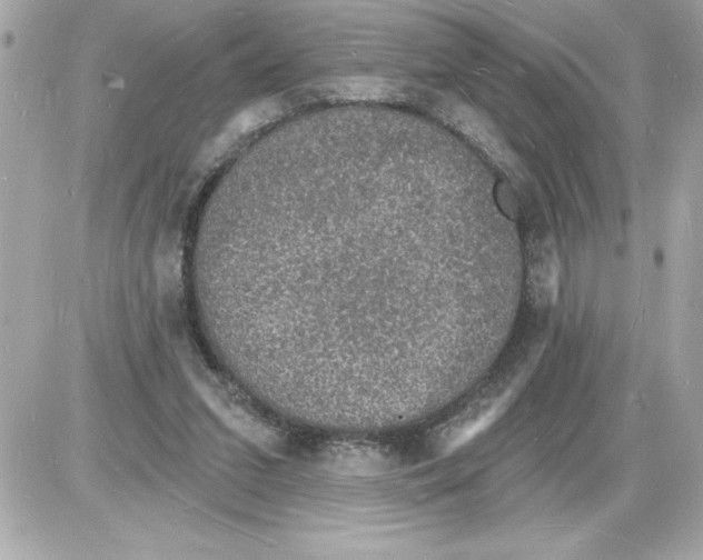 X0000085280207200704092215