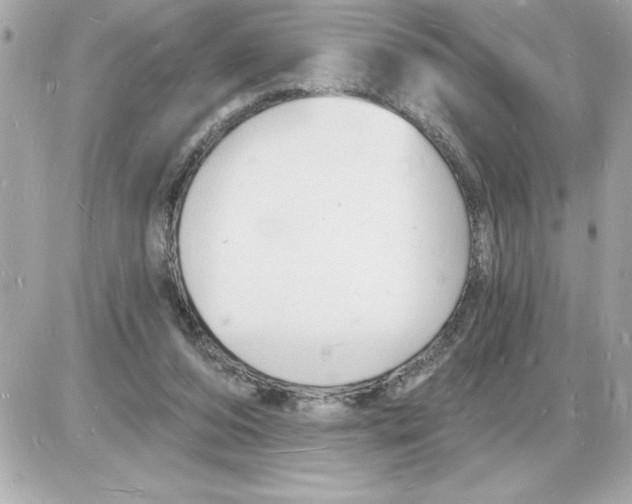 X0000085280208200704092215