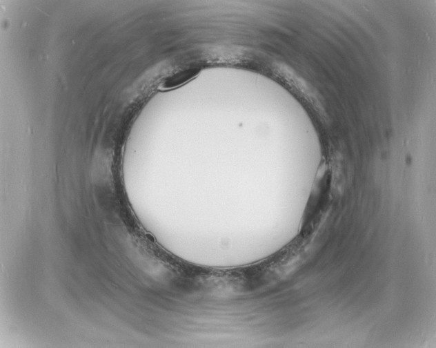 X0000085280209200704092215