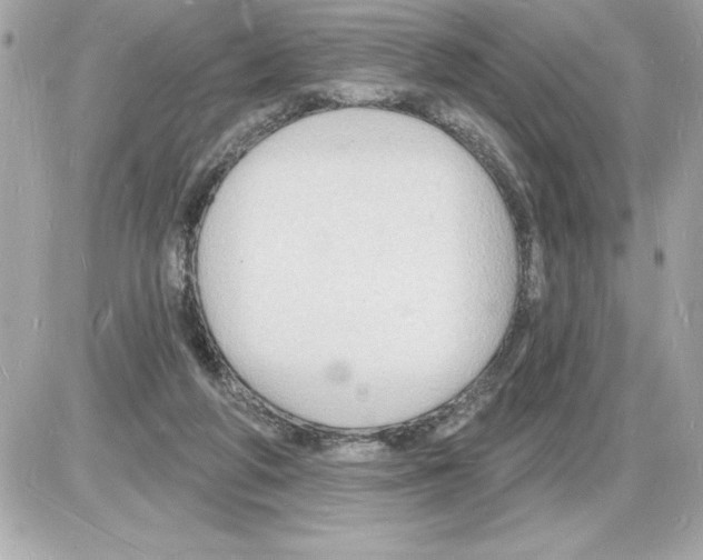 X0000085280210200704092215