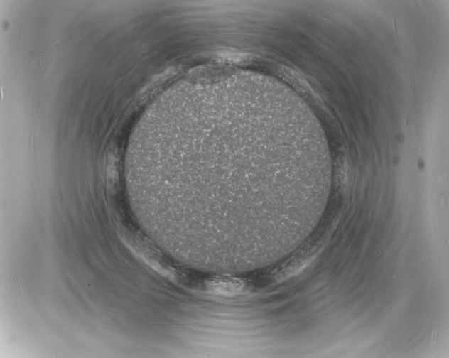 X0000085280215200704092215