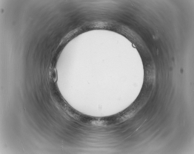 X0000085280216200704092215