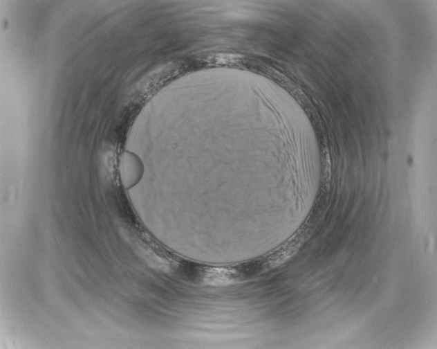 X0000085280222200704092215