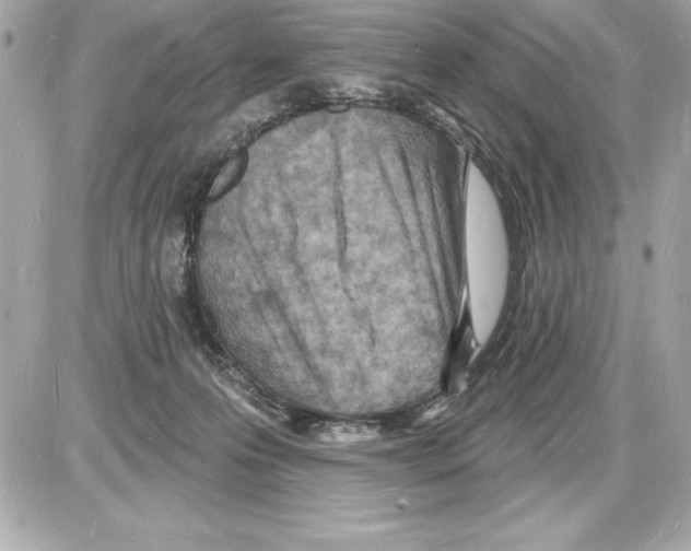 X0000085280223200704092215