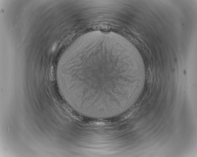 X0000085280224200704092215