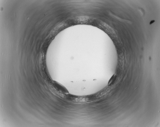 X0000085280225200704092214