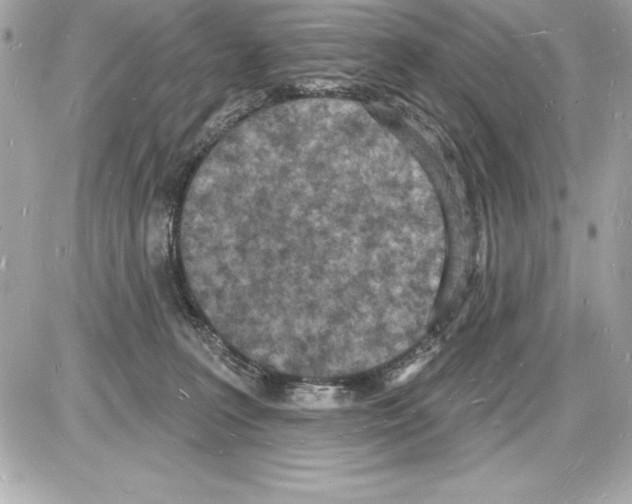 X0000085280227200704092214