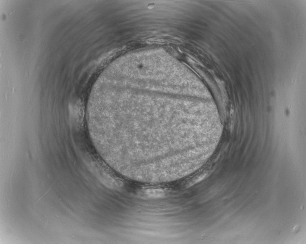 X0000085280228200704092214