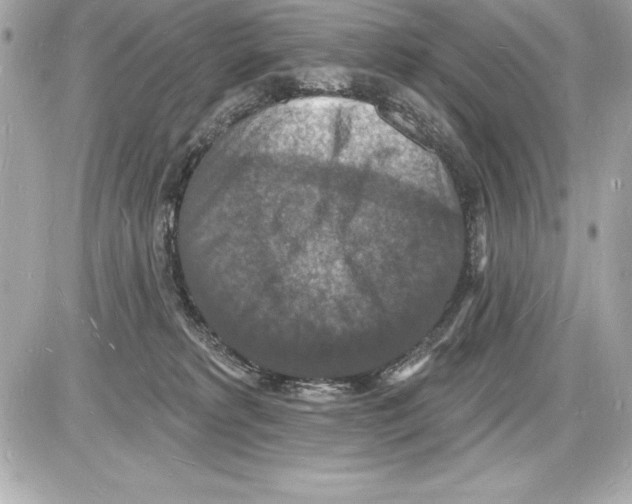 X0000085280229200704092214