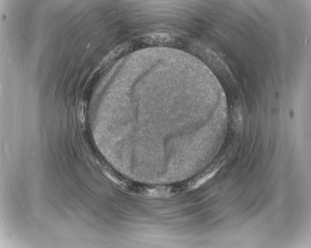 X0000085280232200704092214