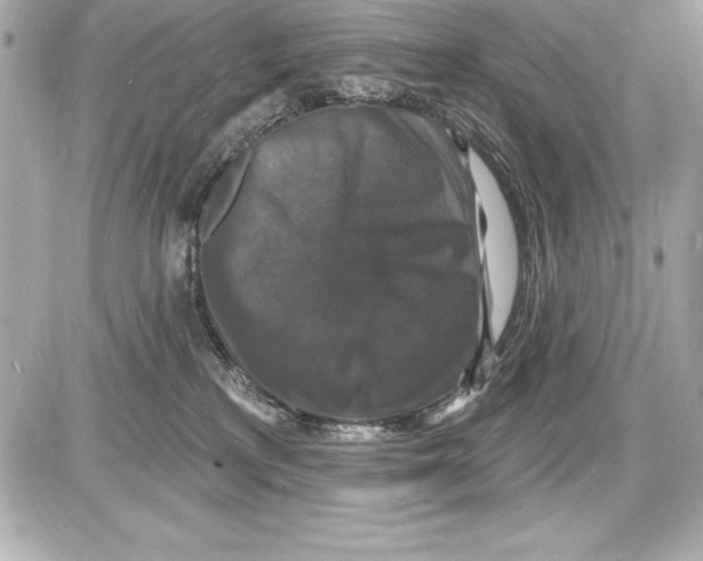 X0000085280233200704092214