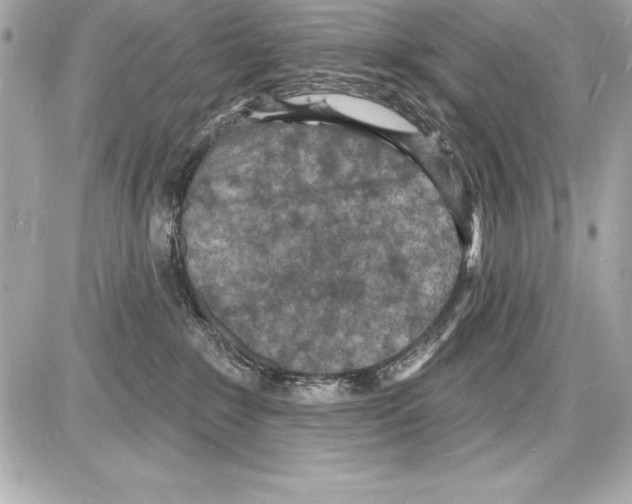 X0000085280235200704092214