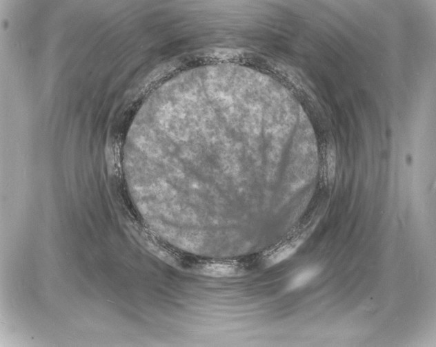 X0000085280236200704092214