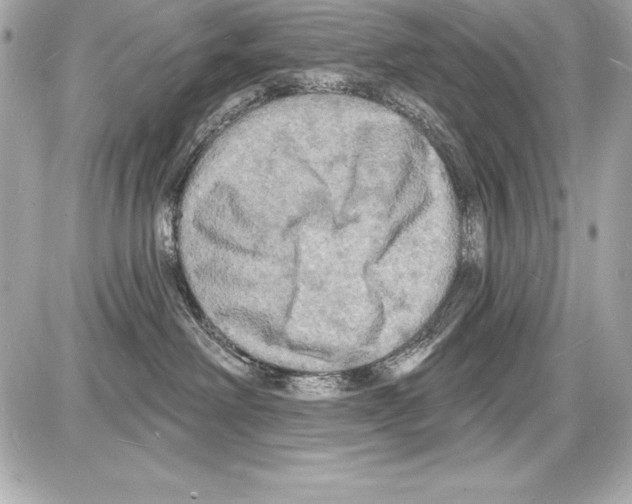 X0000085280238200704092214