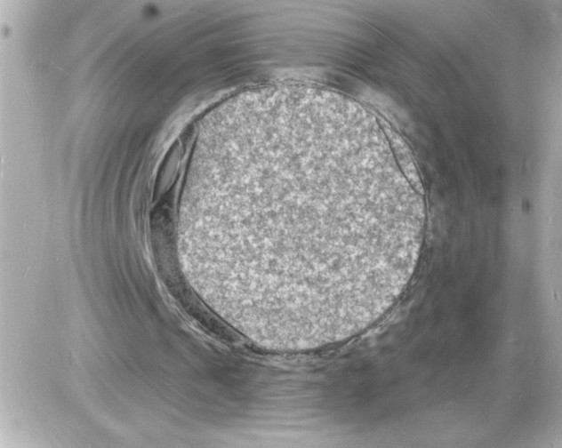 X0000085280241200704092213