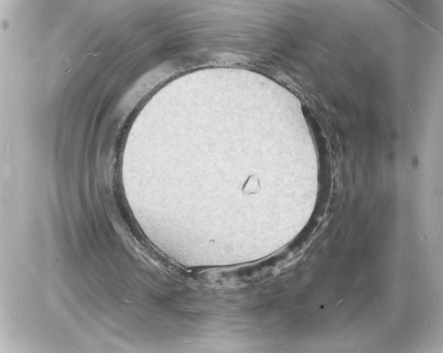 X0000085280242200704092213