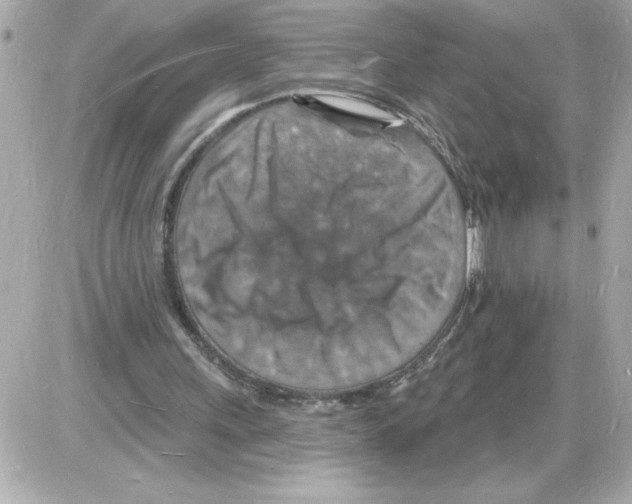 X0000085280243200704092213