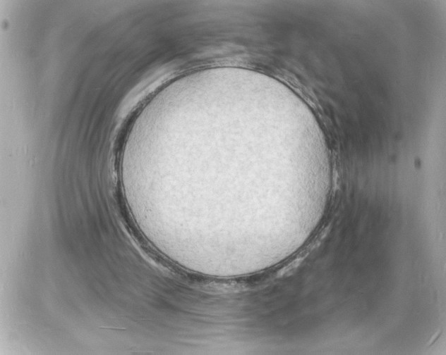 X0000085280245200704092214