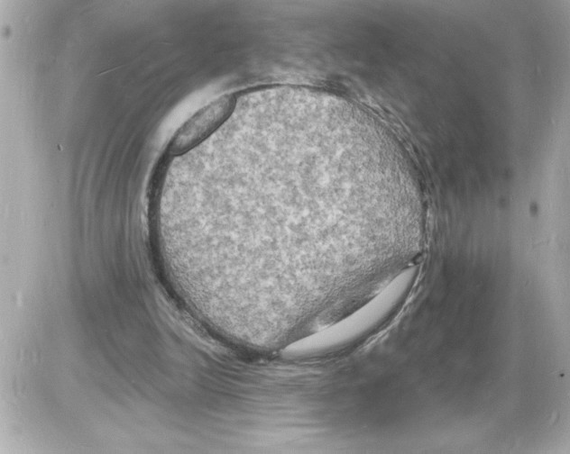 X0000085280246200704092214