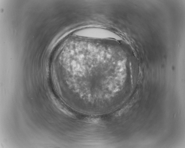 X0000085280247200704092214