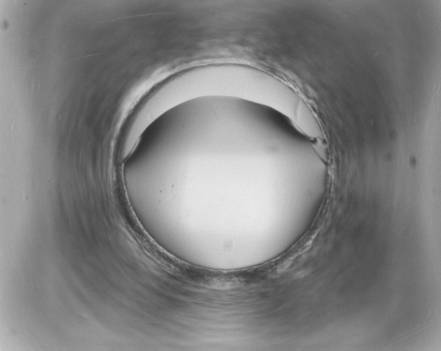 X0000085280248200704092214