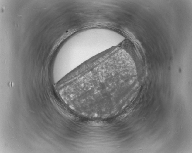 X0000085280250200704092214