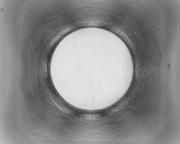 X0000085280251200704092214