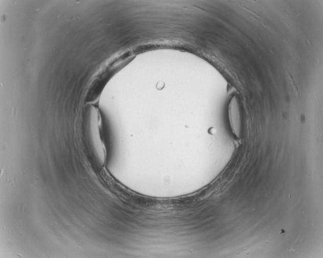 X0000085280252200704092214