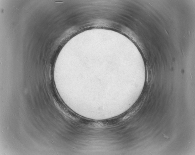 X0000085280253200704092214