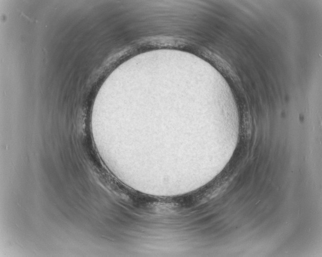 X0000085280255200704092214