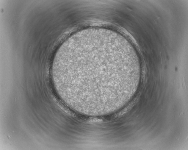 X0000085280257200704092214