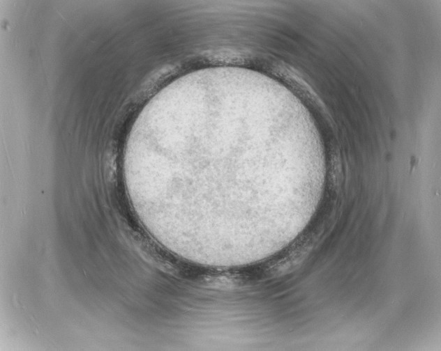 X0000085280259200704092214