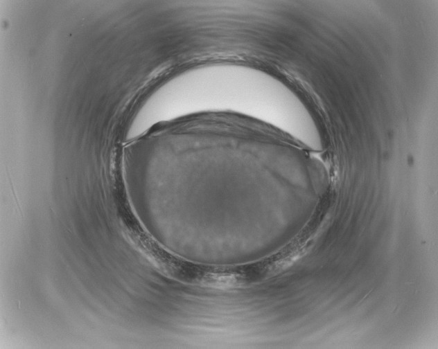 X0000085280260200704092214