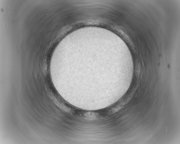 X0000085280261200704092214