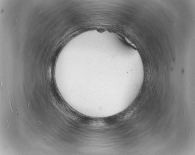 X0000085280262200704092214