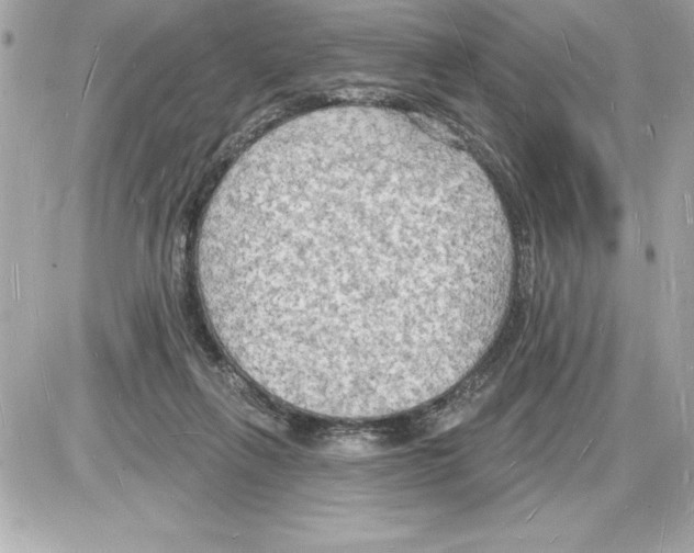 X0000085280263200704092214