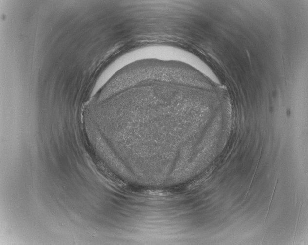 X0000085280264200704092214