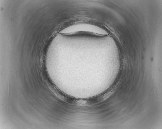 X0000085280265200704092214