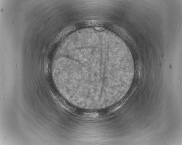 X0000085280266200704092214