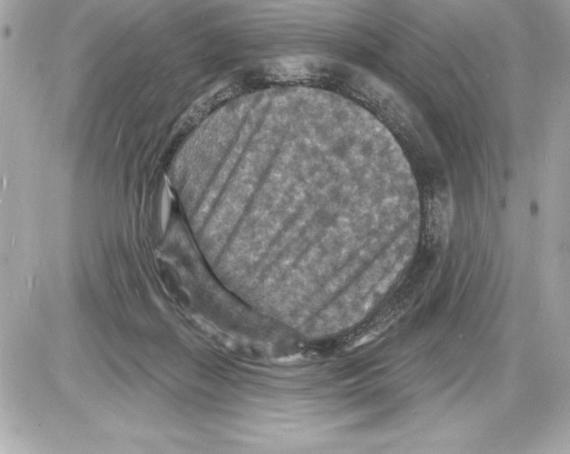 X0000085280267200704092214