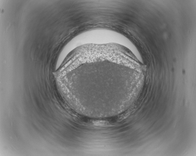 X0000085280268200704092214