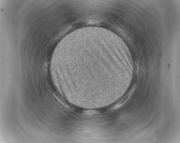 X0000085280269200704092214