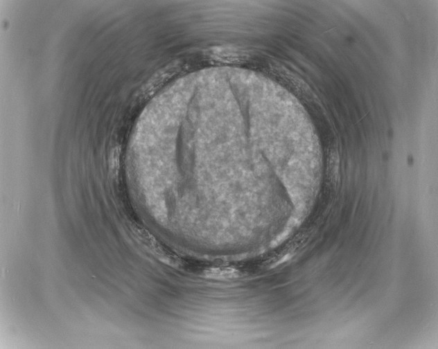 X0000085280271200704092214