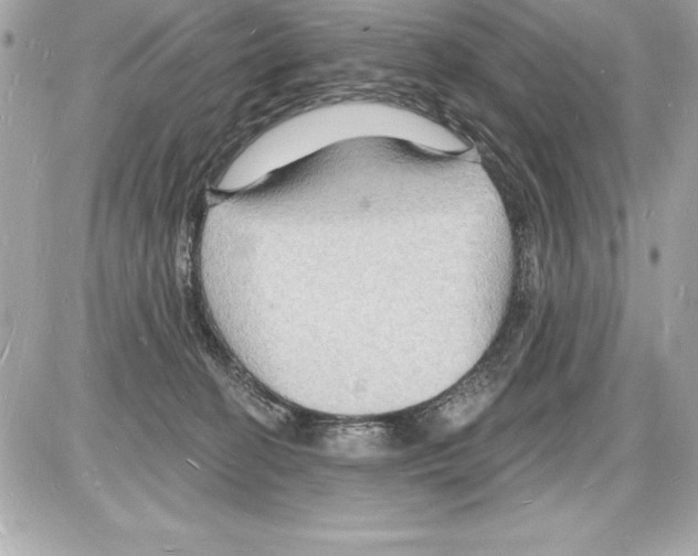 X0000085280274200704092214