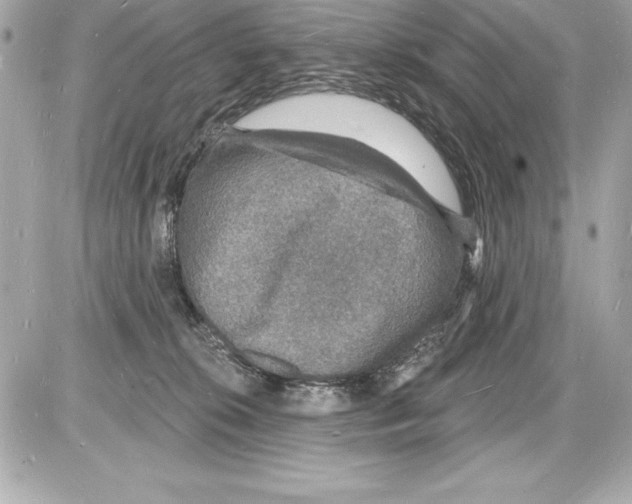 X0000085280276200704092214